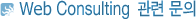 Web Consulting 