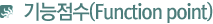 (Function point)